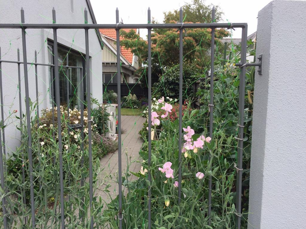 花园住宿加早餐旅馆 基督城 外观 照片
